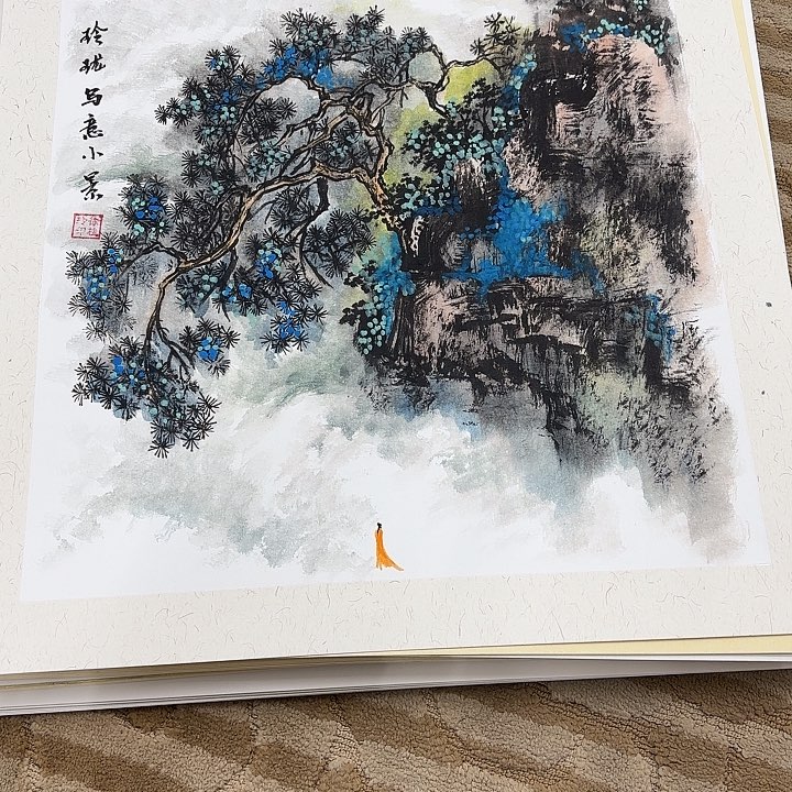 国画花鸟的翅膀和翅膀都是白色和