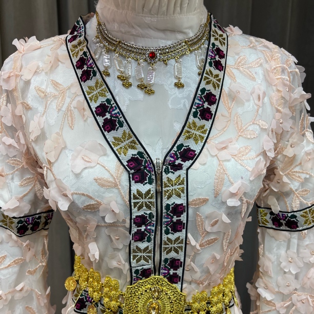 藕色色重工蕾丝马甲刺绣连衣裙温柔淑女风收腰显瘦减龄洋气小个子