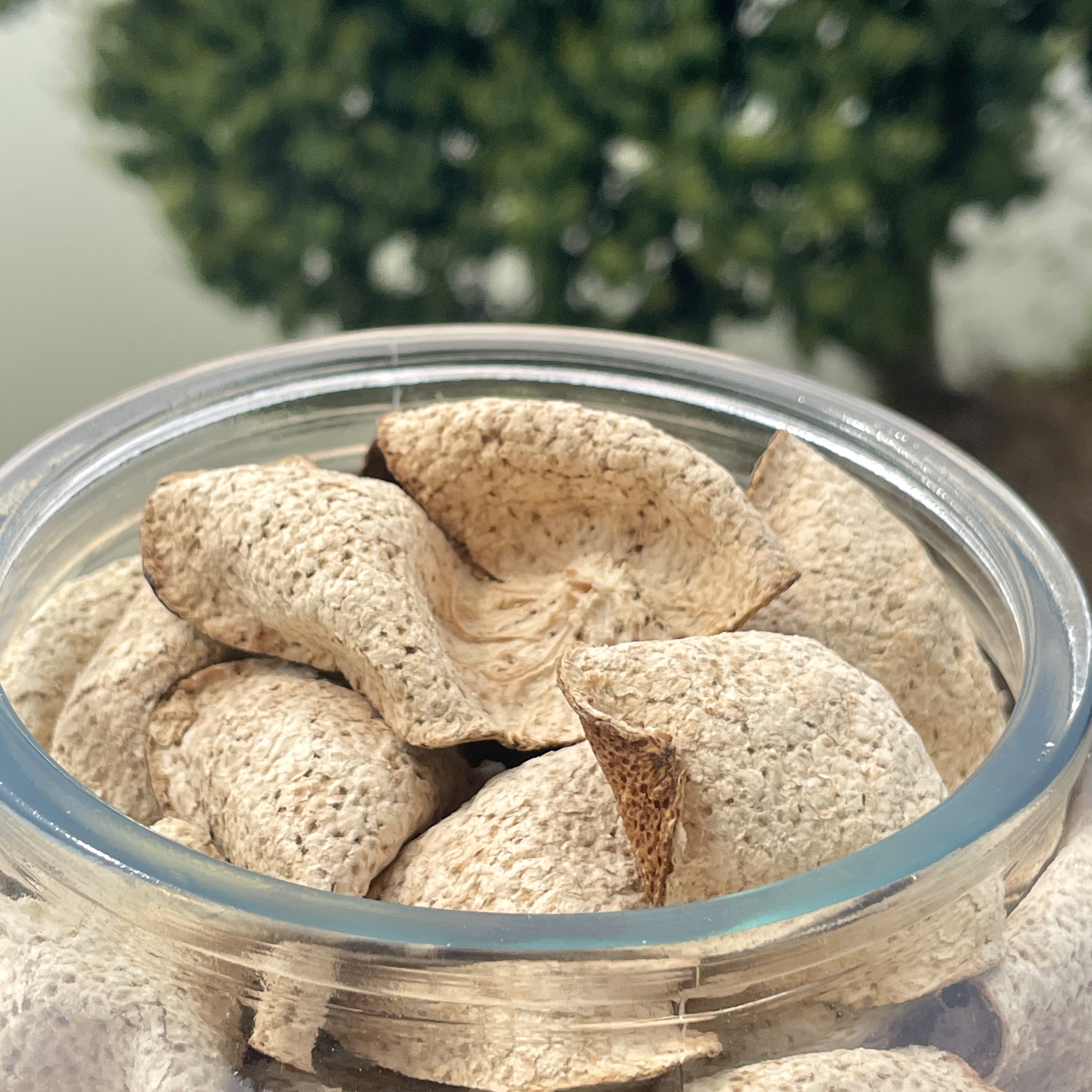 【薄荷香回凉——老树青皮】2020年天马自产圈枝青皮陈皮