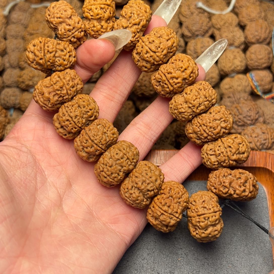 菩提4号尼泊尔大金刚24-25梅花夹板