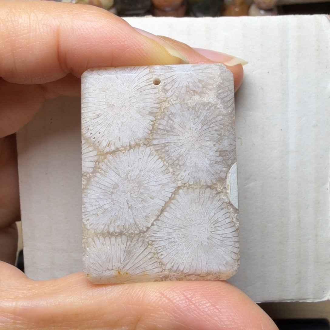 硅化玉未镶嵌霸王花