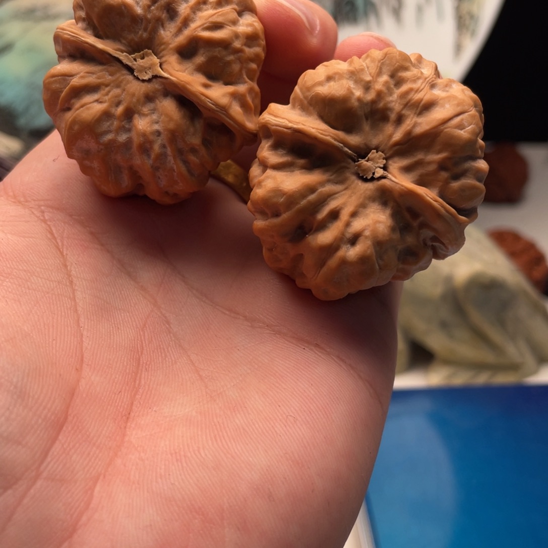 W***@核桃蛤蟆头文玩C43