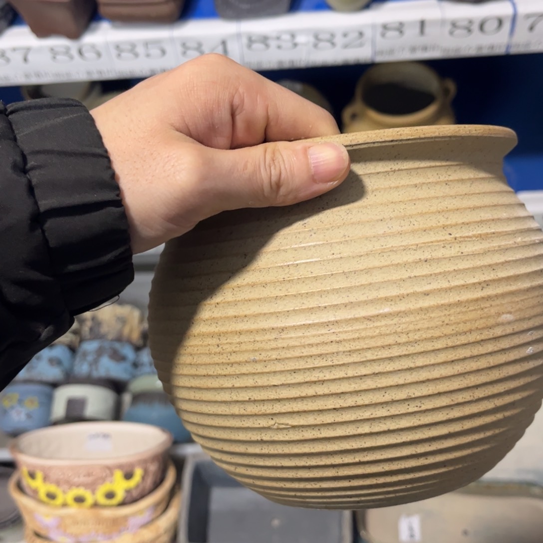 1个［当天满9元包邮24小时发］