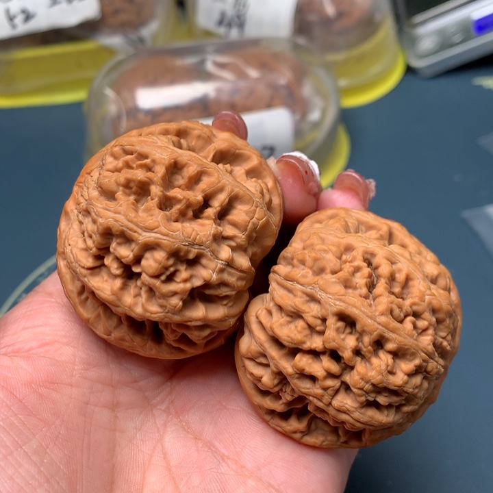 文玩核桃把件48-16401-9