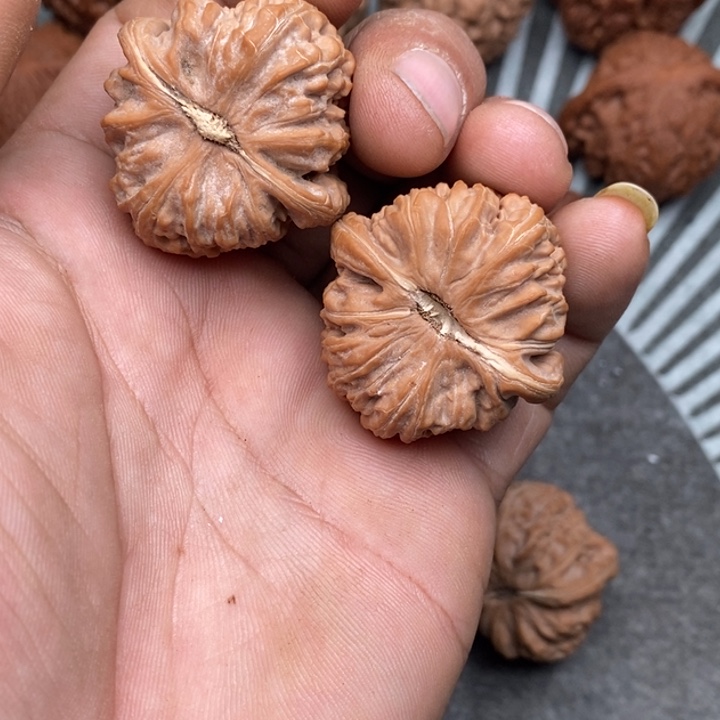 文玩核桃把件美****来白狮子