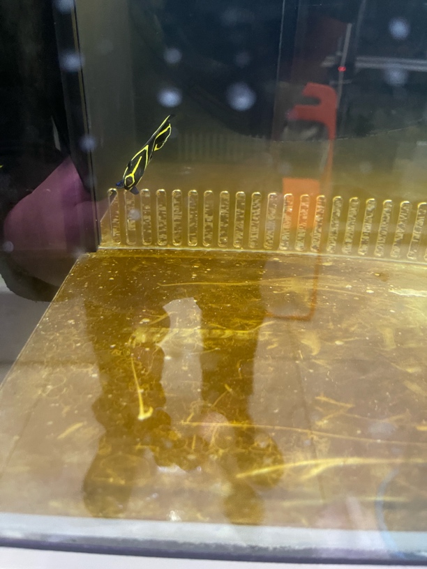 法仙海水鱼15包装运费到付