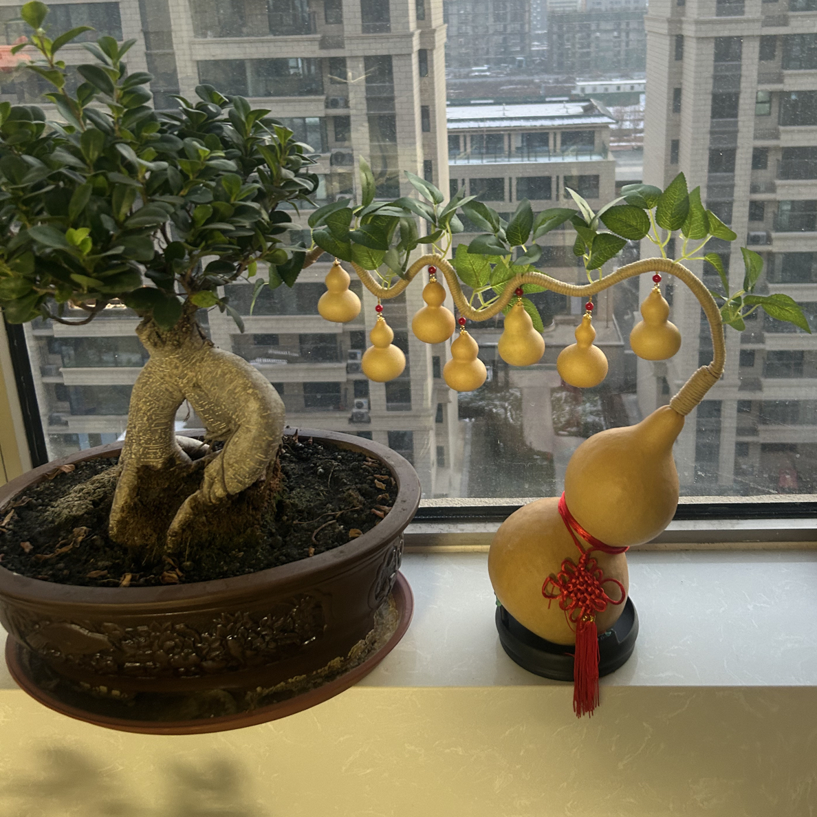 葫芦直播间专属链接，直播间选购，看清价格再拍