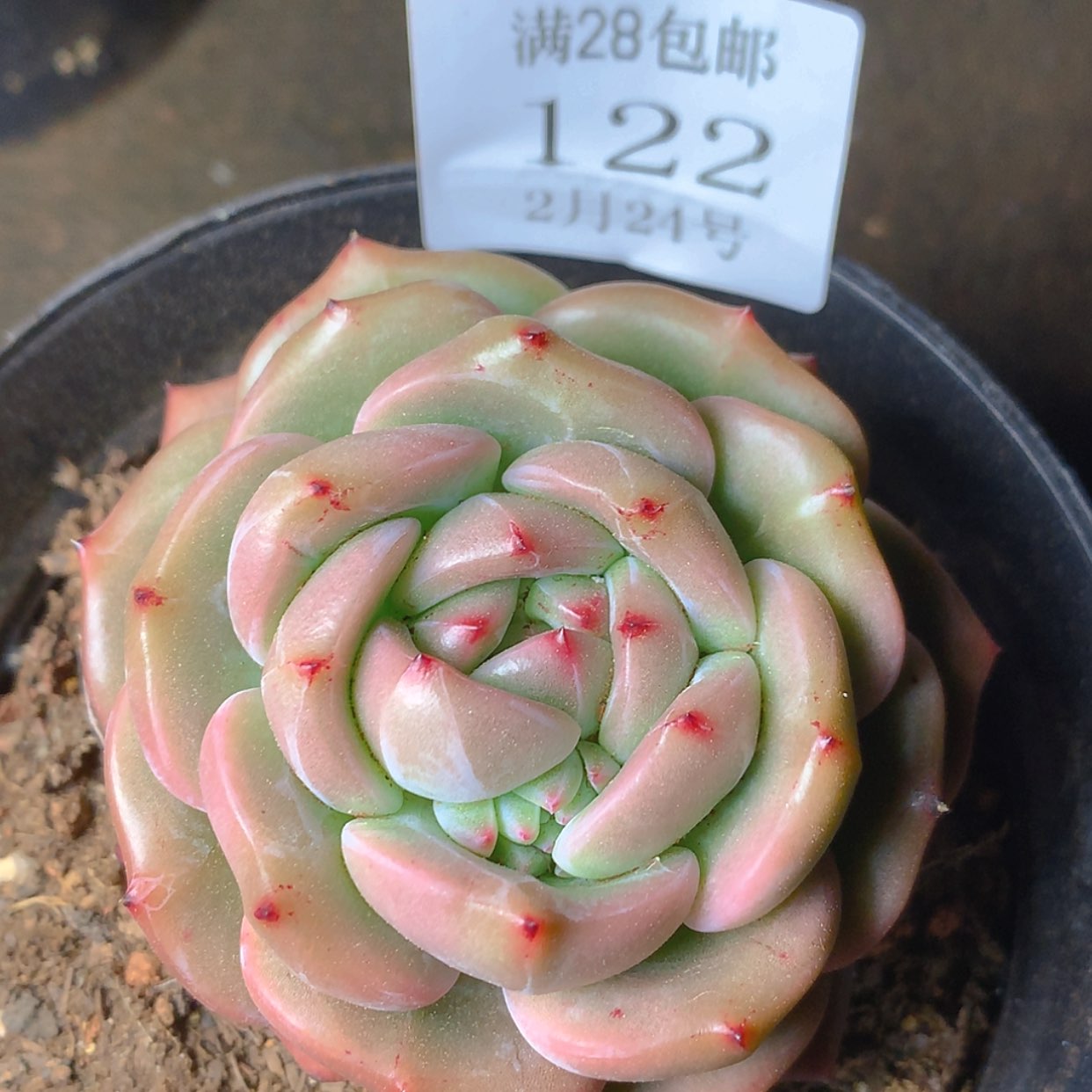 【闪购商品】云122