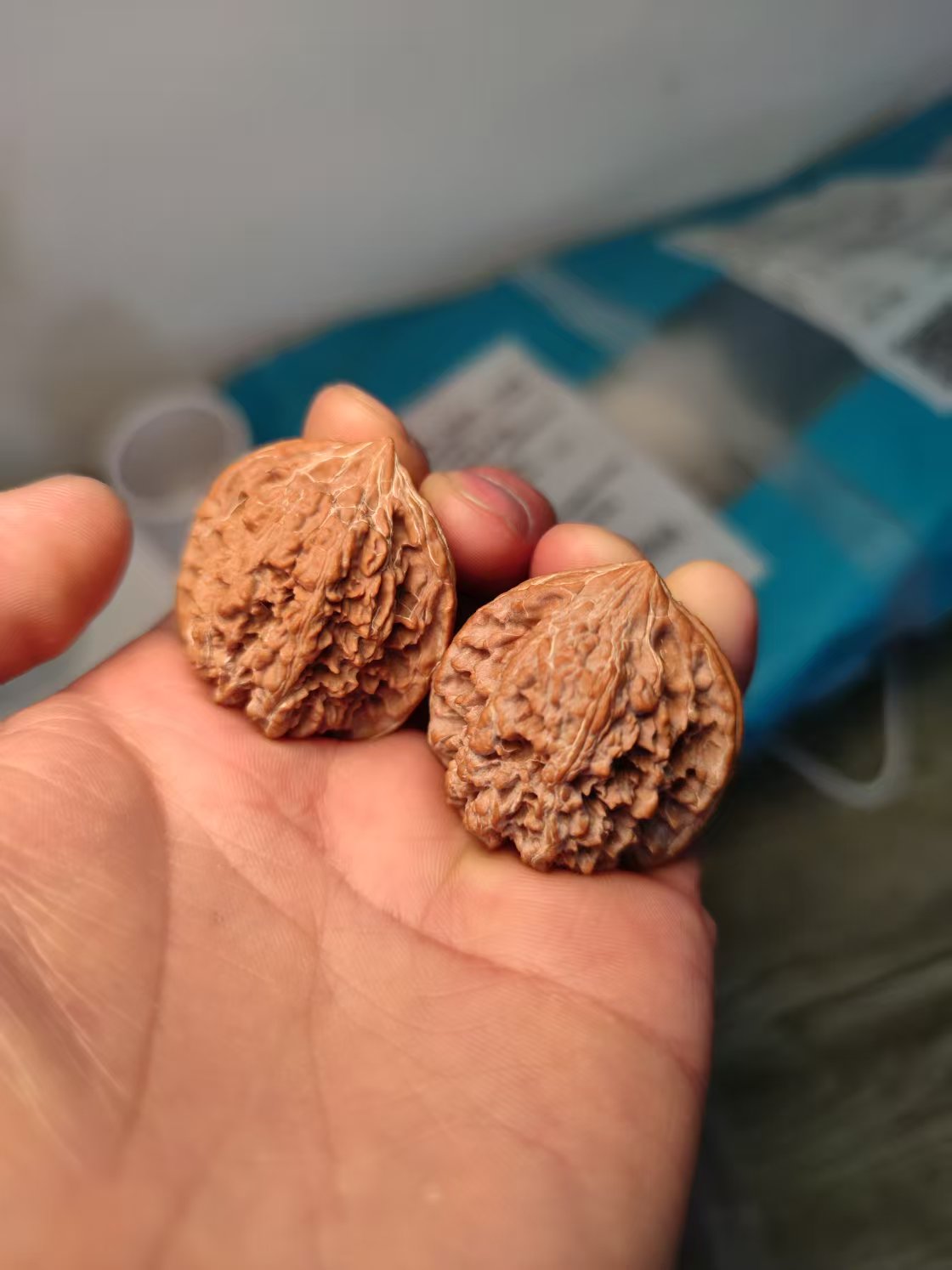 一手文玩核桃满天星