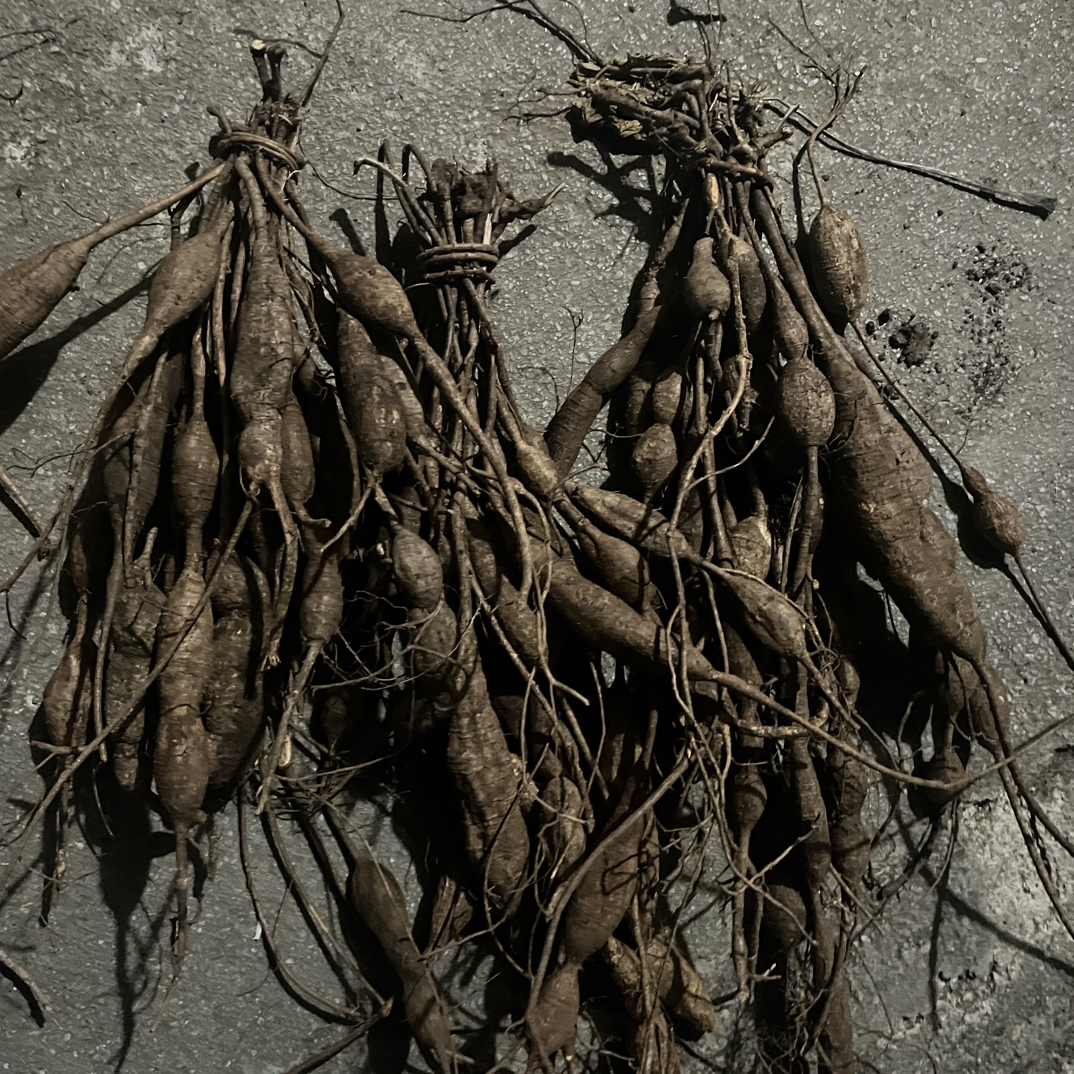 石山黑牛（牛蛋），农村自挖纯野生山货