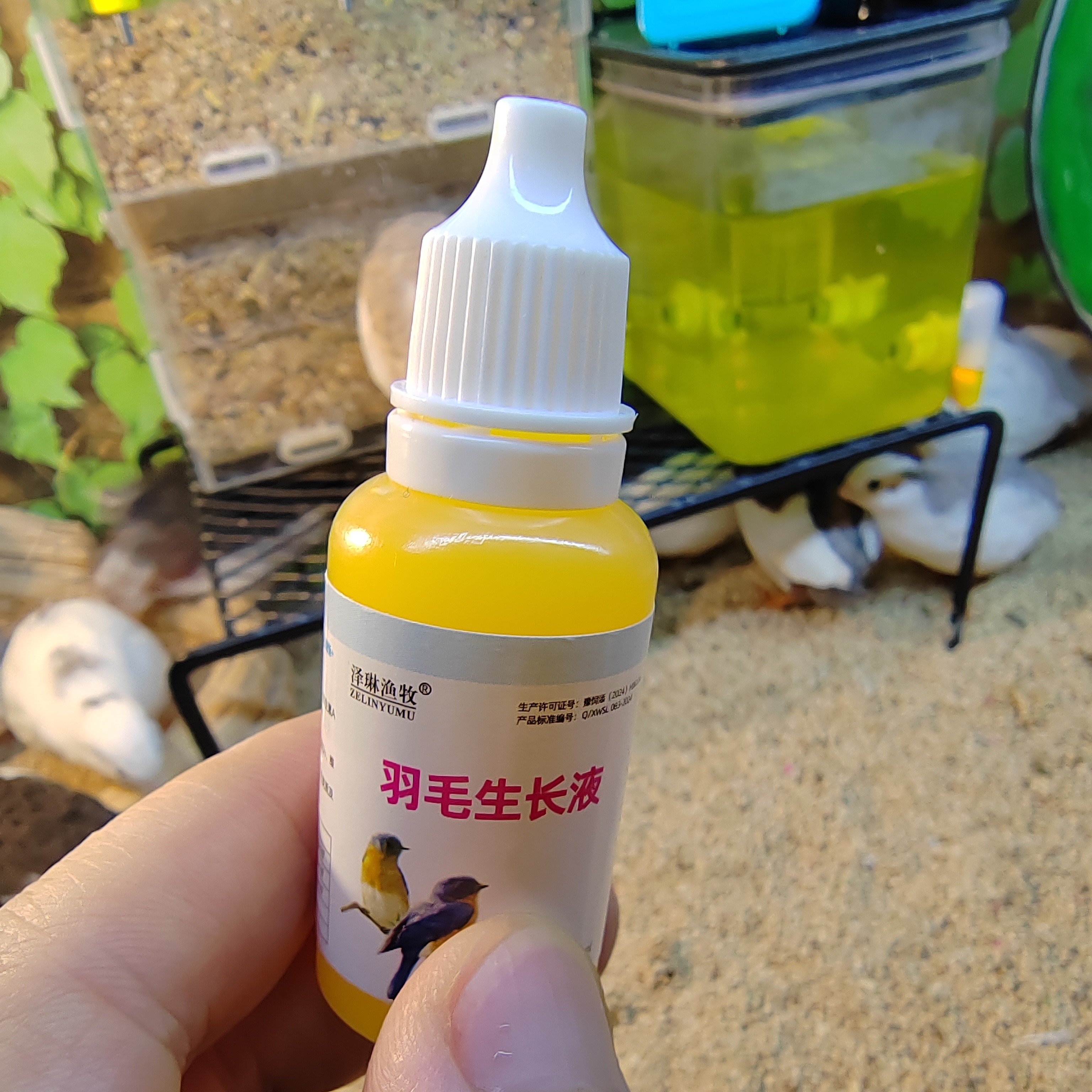 芦丁鸡鸟鹦鹉通用羽毛液改善羽毛毛色生羽液鸟用羽毛液生羽素