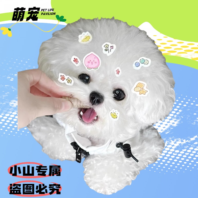 如何挑选如何挑选5