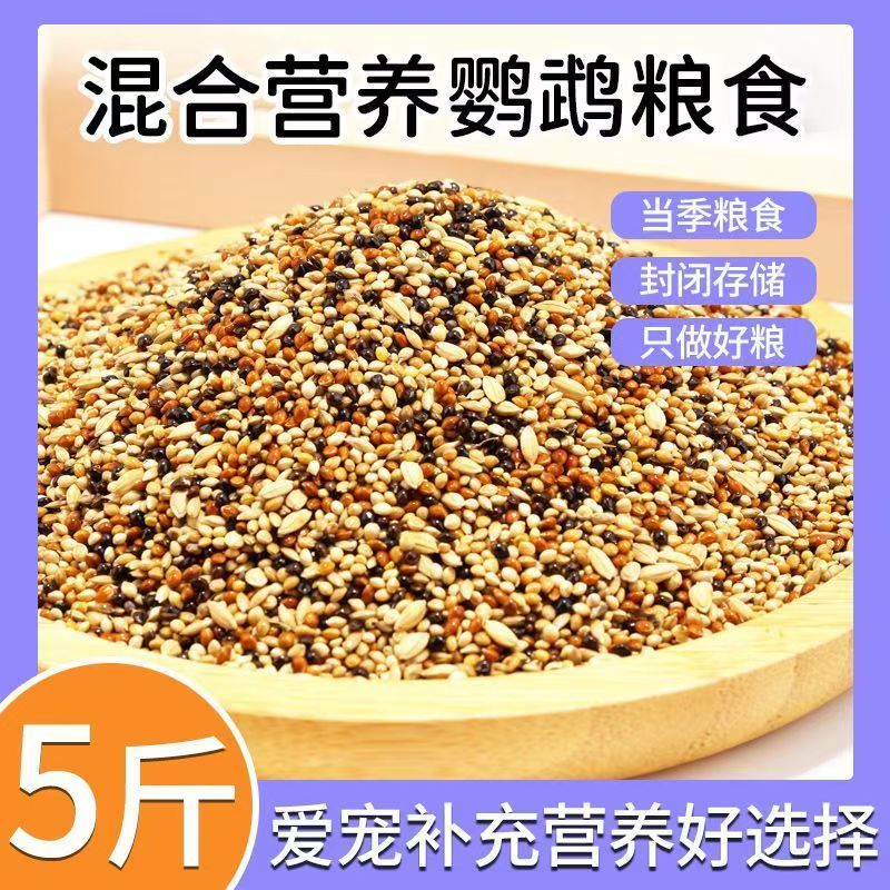 A鹦鹉专用鸟粮5斤装