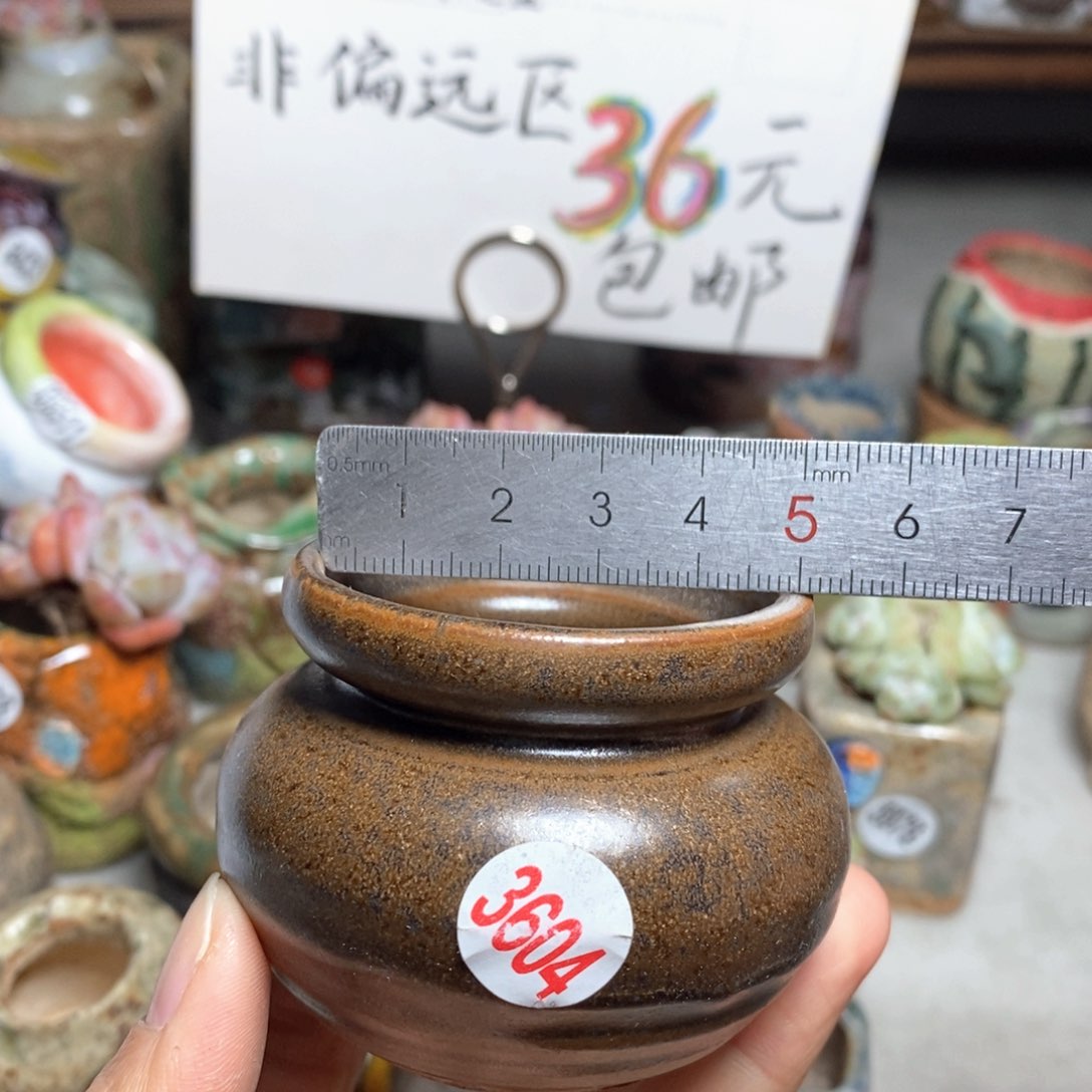 花盆拍5个送一个小礼物