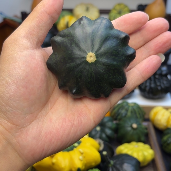 福利福利福利福利