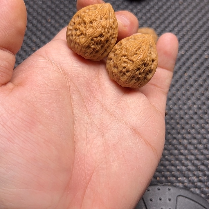 文玩核桃吊坠野生