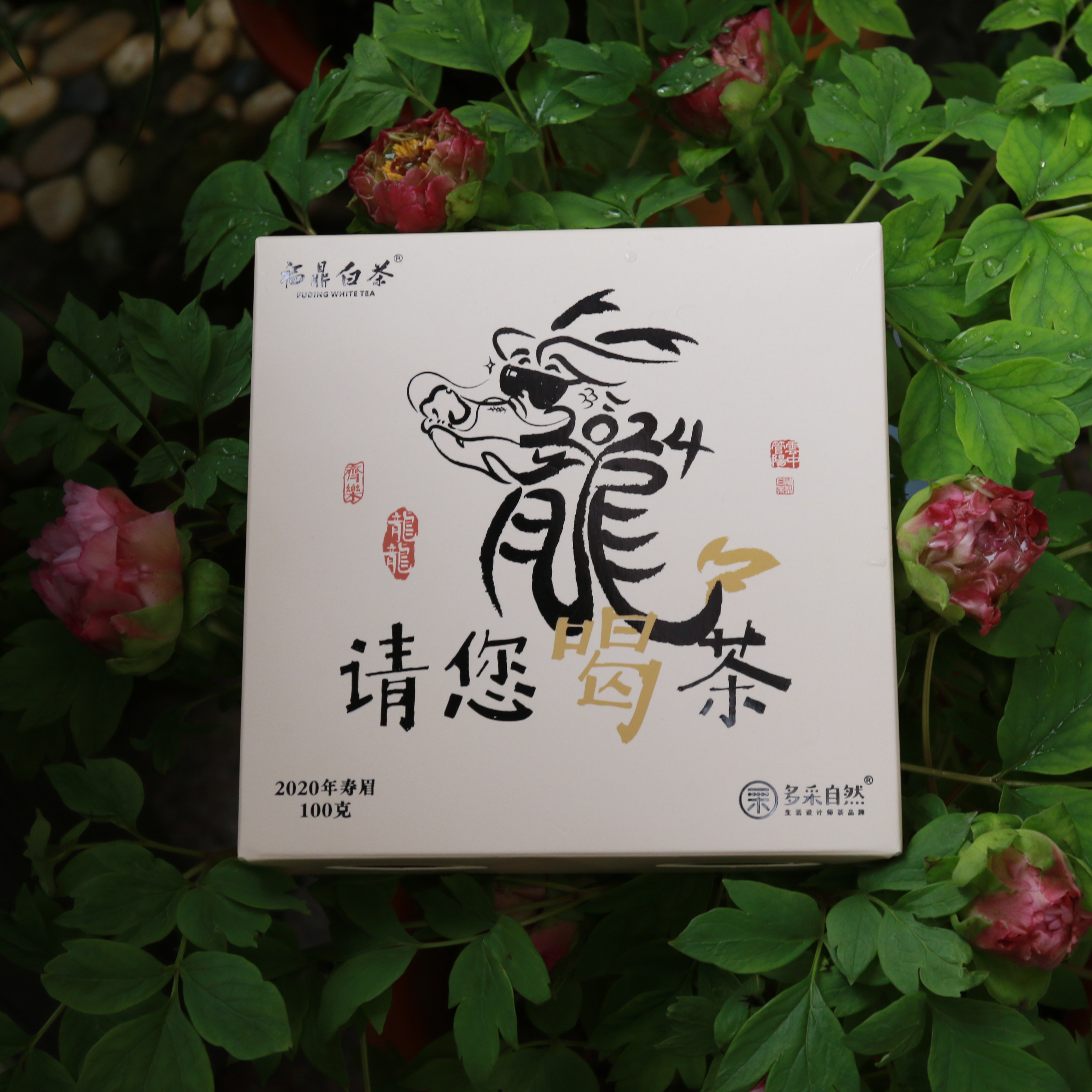 【开茶节福利】请您喝茶2020年寿眉茶饼礼盒100g多采小宇茶集