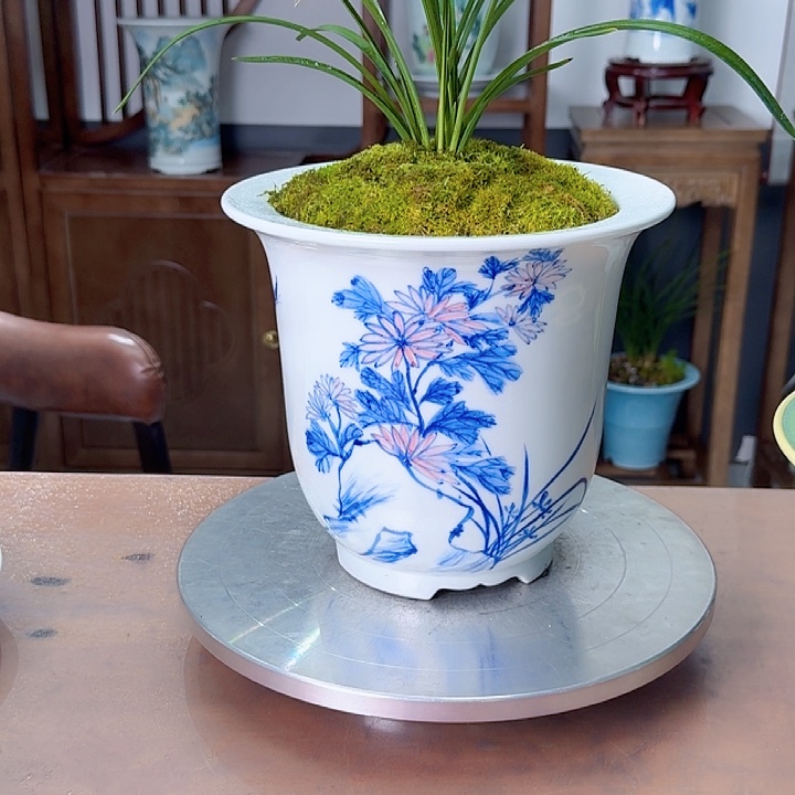 帅***虎青花金钟8888888888