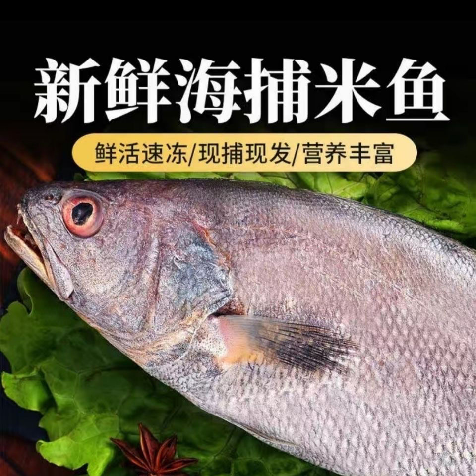 新鲜整条野生鳘鱼冰鲜冷链发货一条400克-500克肉质鲜嫩发5斤