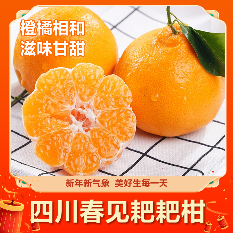 【文专属】四川春见耙耙柑新鲜上市坏果包赔爽口细腻香甜可口热卖