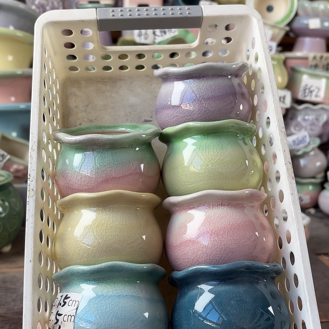 量货/口5高5.5深浅搭配发6