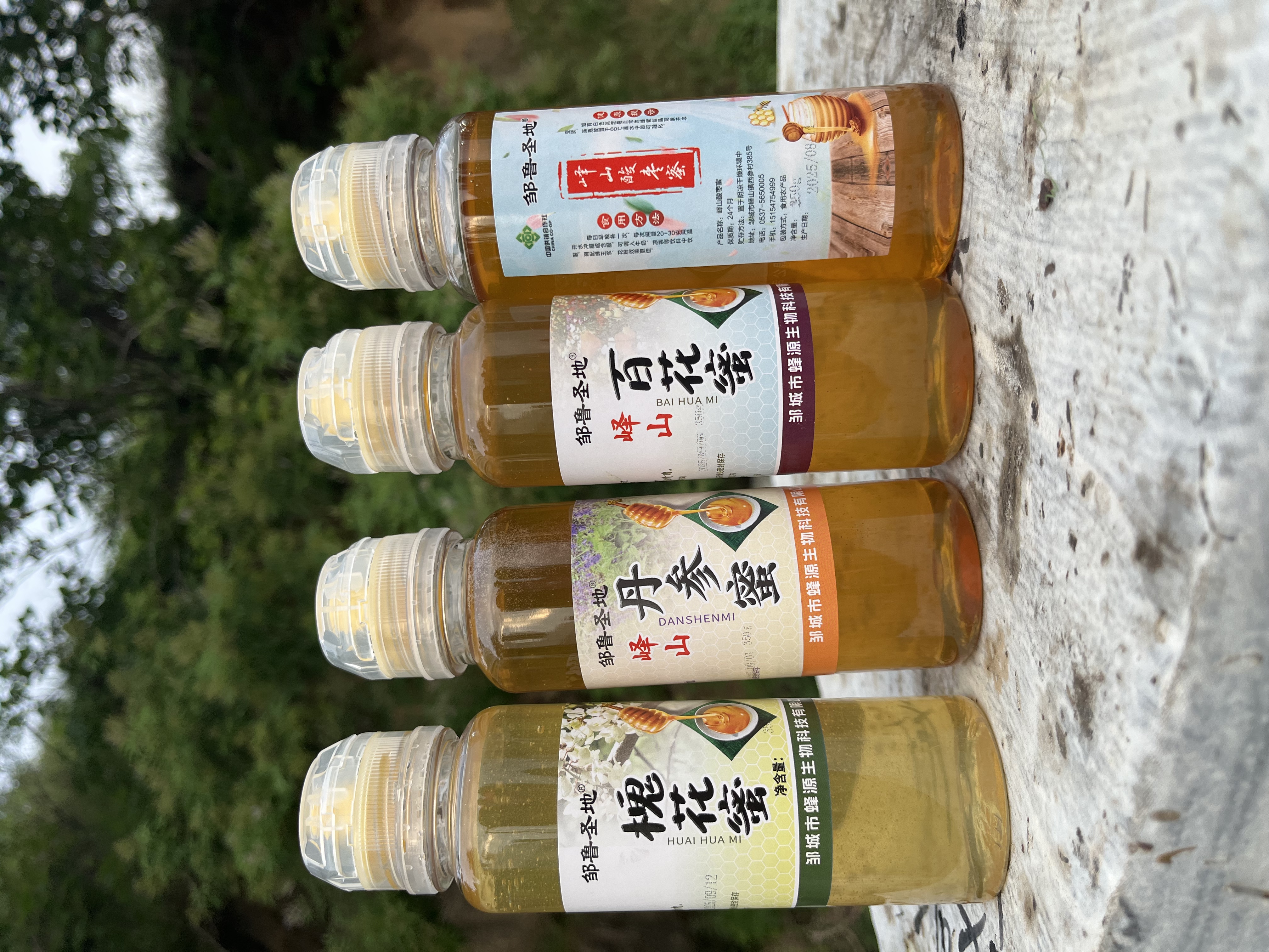 邹鲁圣地槐花 丹参 酸枣 百花