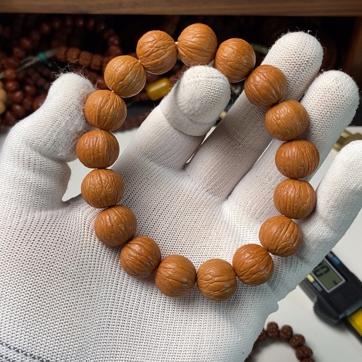 吊坠金刚菩提A6盆子