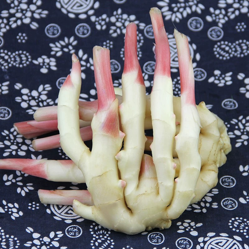 山东新鲜红芽500g嫩姜新姜子姜芽脆嫩大仔姜鲜姜生姜现挖腌制泡姜仔姜