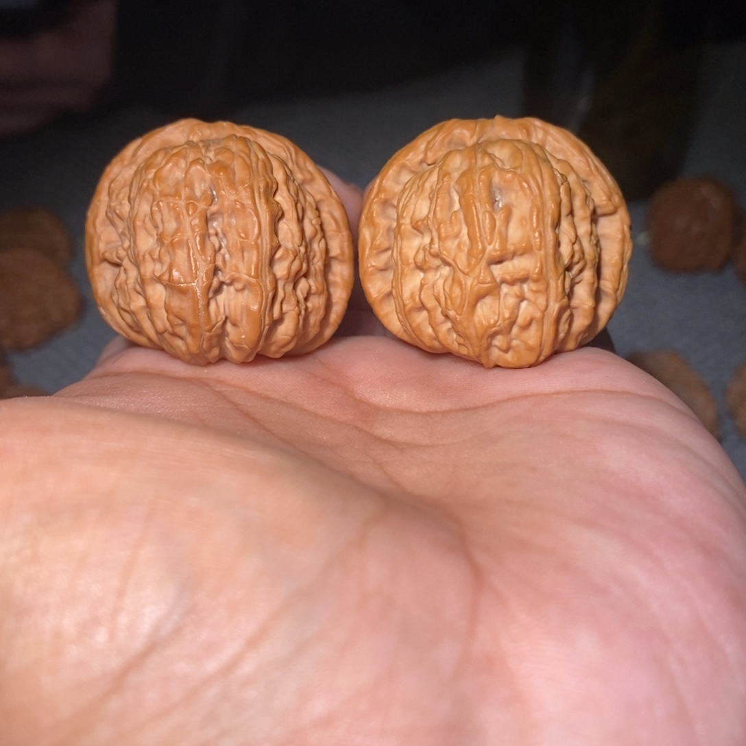 吊坠桃核39度白狮子