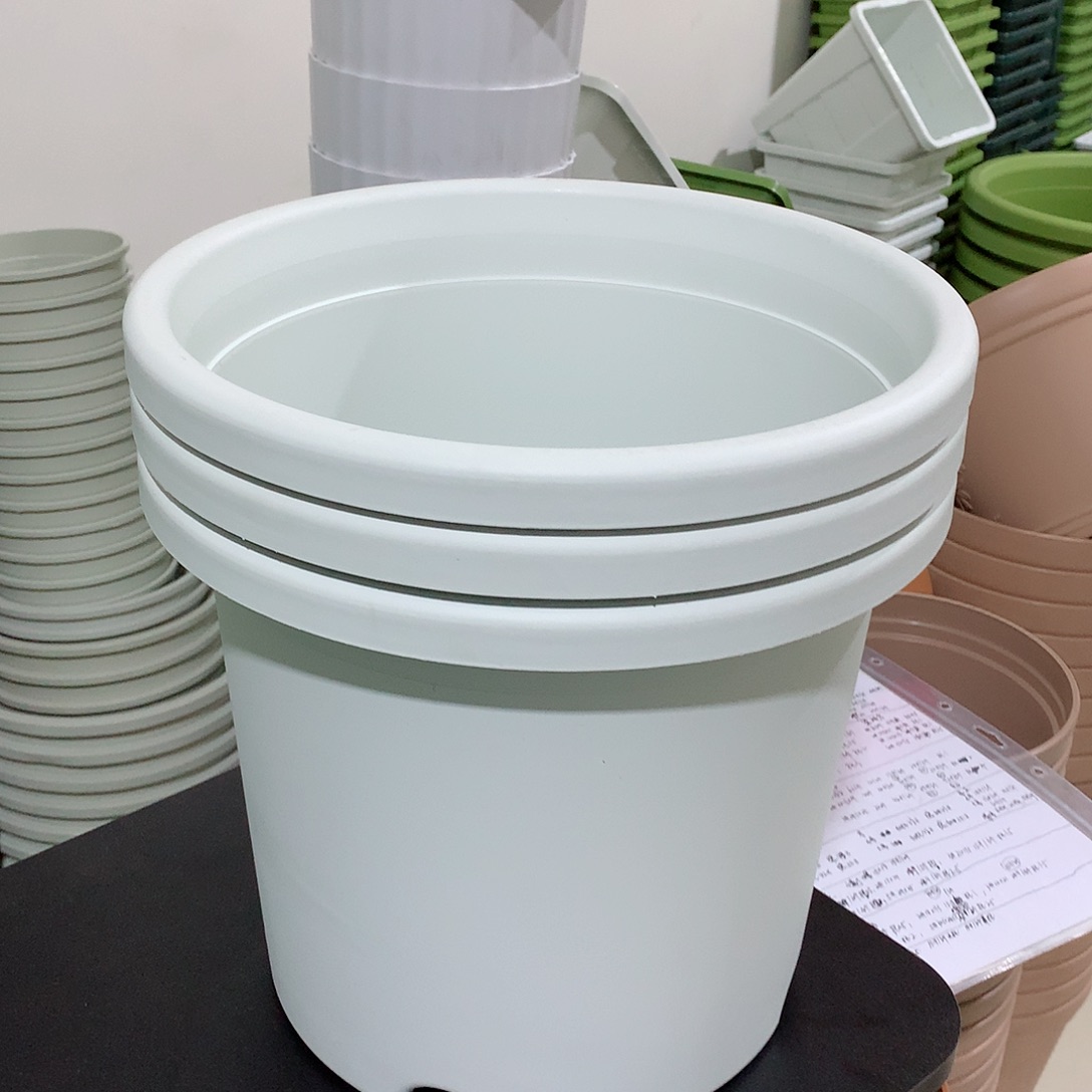 树脂四季口32白3个无托