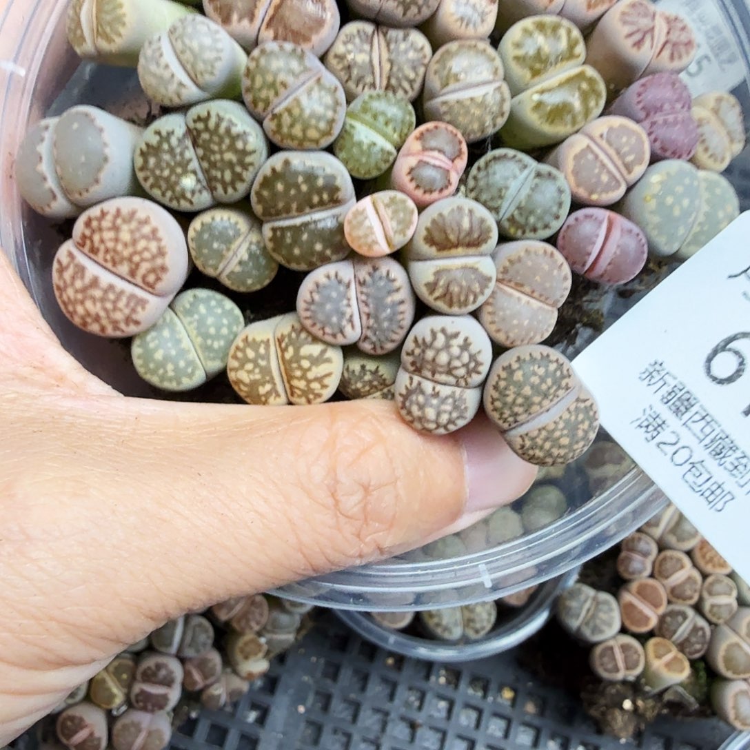 你也快回来吃饭哦我的乖616