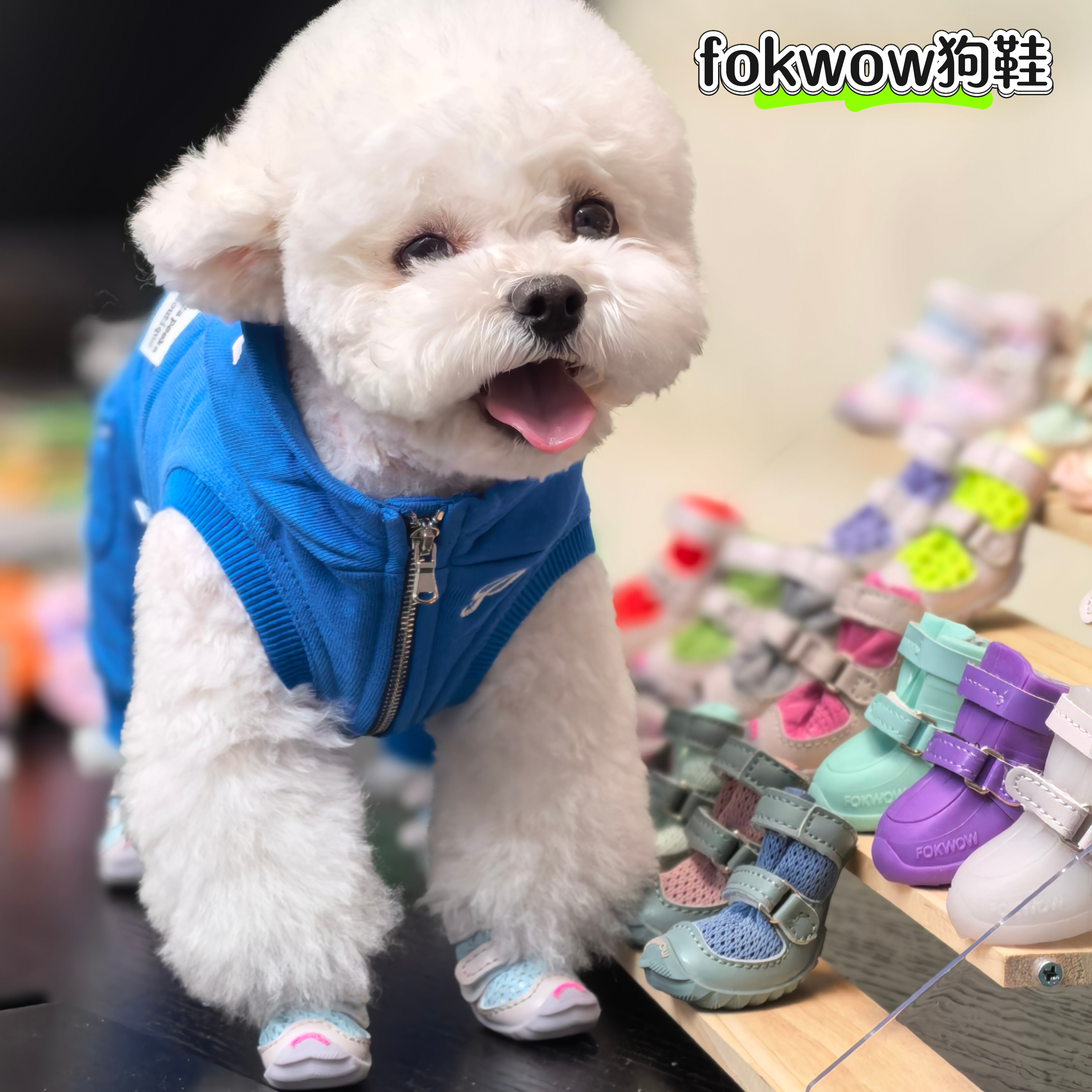 孔小宝家DJJ狗鞋泰迪比熊雪纳瑞宠物四季小型犬透气软底fokwow