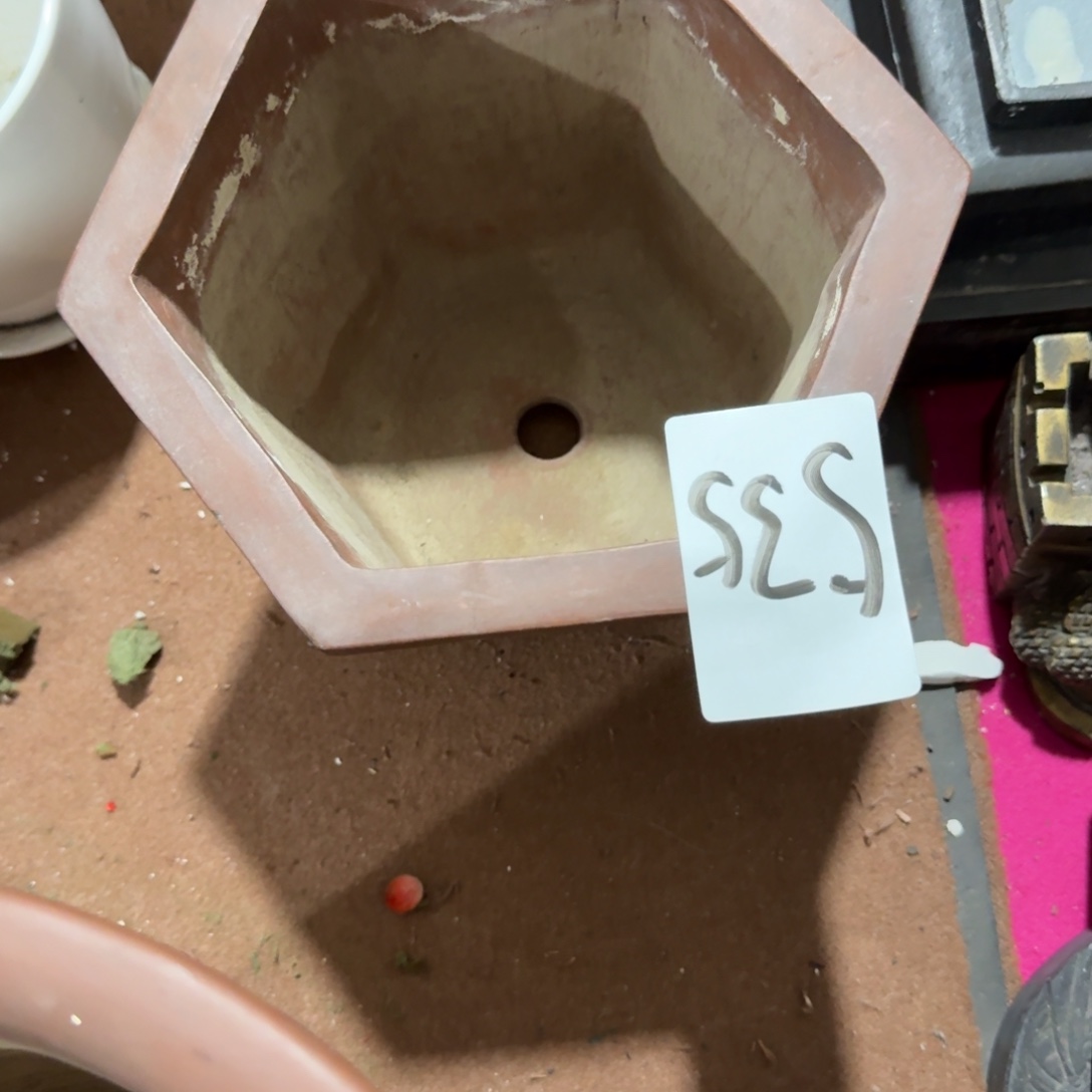 苏***荣杂色豆（科檀/科特迪瓦檀木）