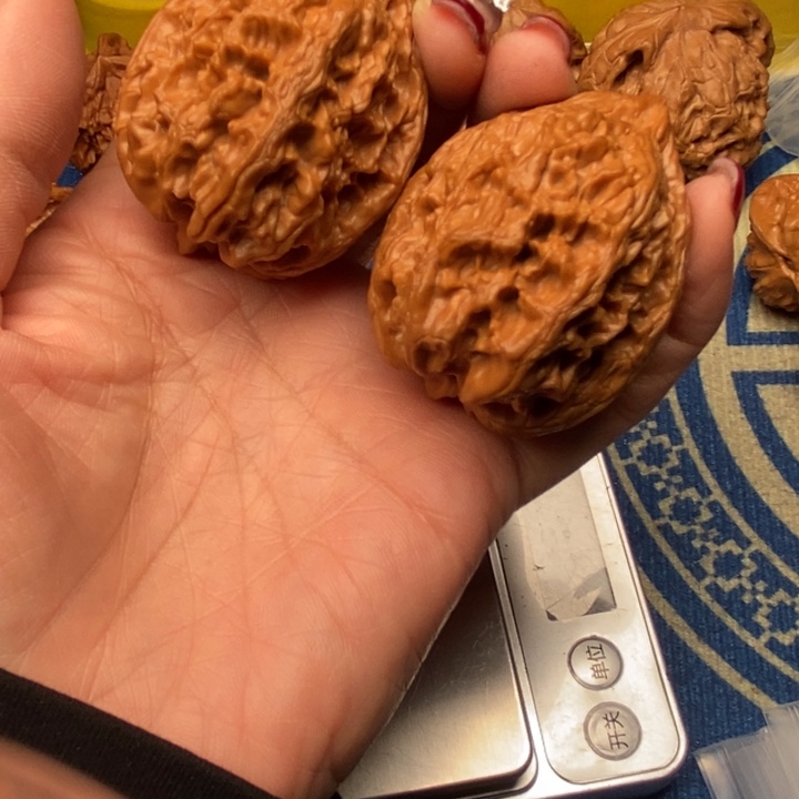 桃核吊坠大沽石42全品