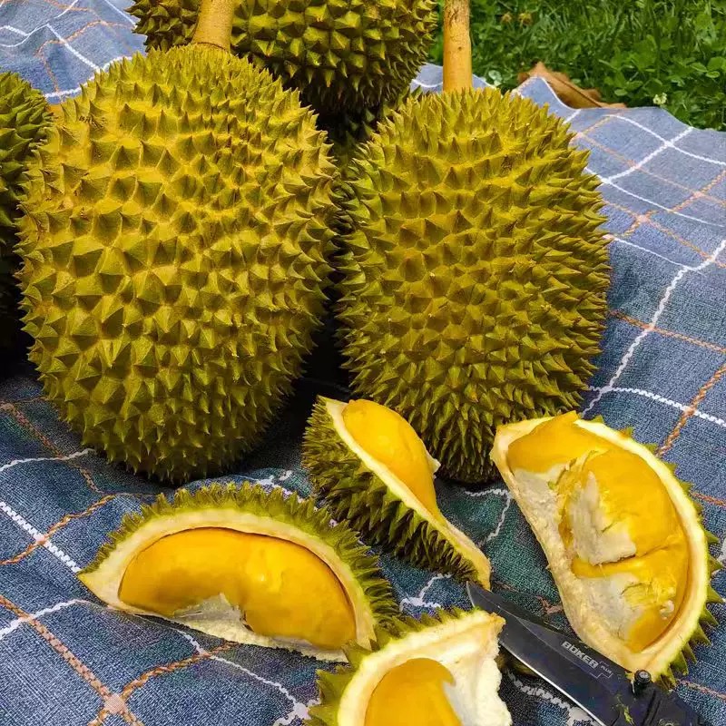 【鲜榴莲】A果泰国干尧榴莲3斤/58.8元（质量问题可售后）核大