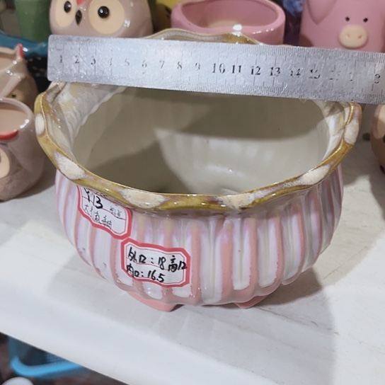 花盆111111111111111