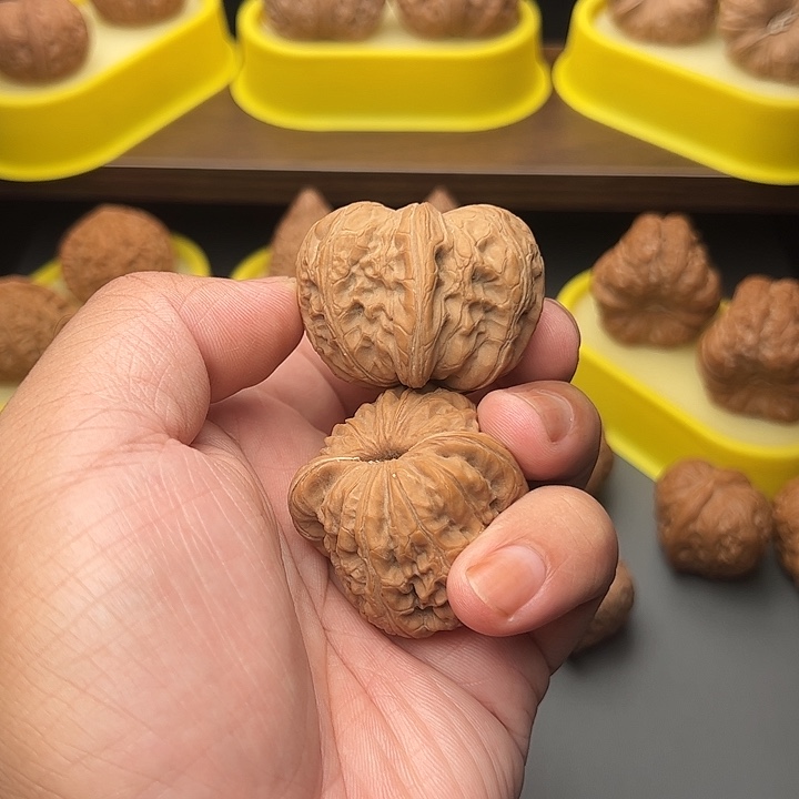 43尺精配头货翘肩元宝