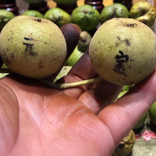 吊坠桃核核桃核桃