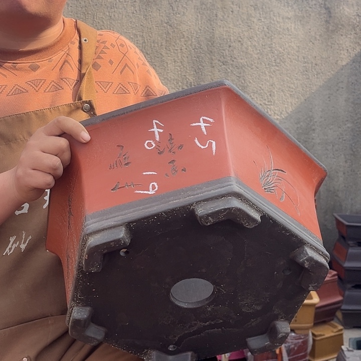 紫砂紫砂花盆盆栽