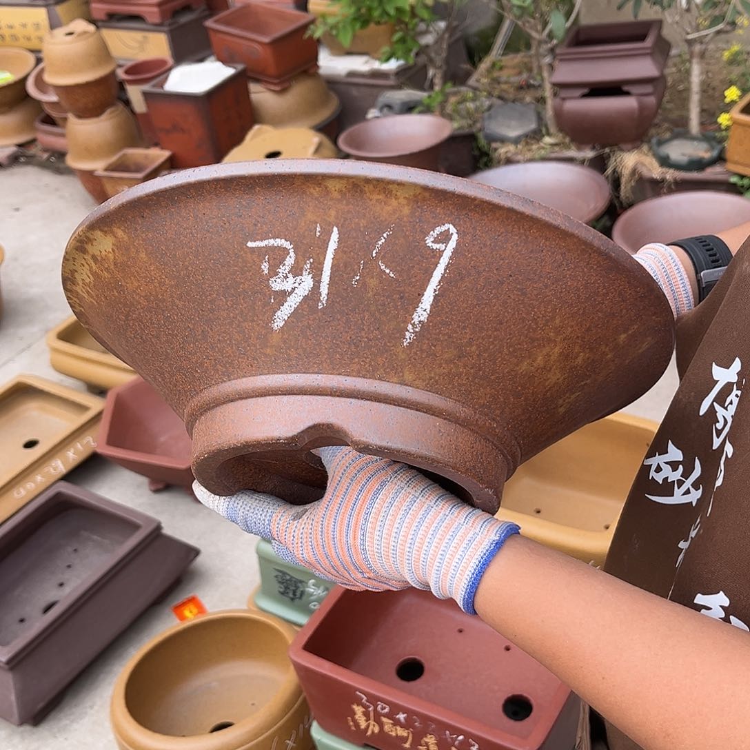 紫砂花盆盆景艺术