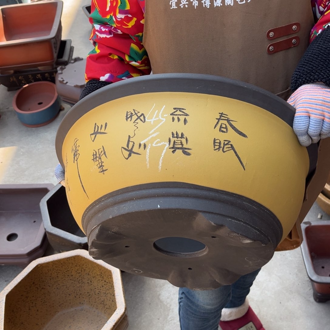 紫砂花盆盆景艺术