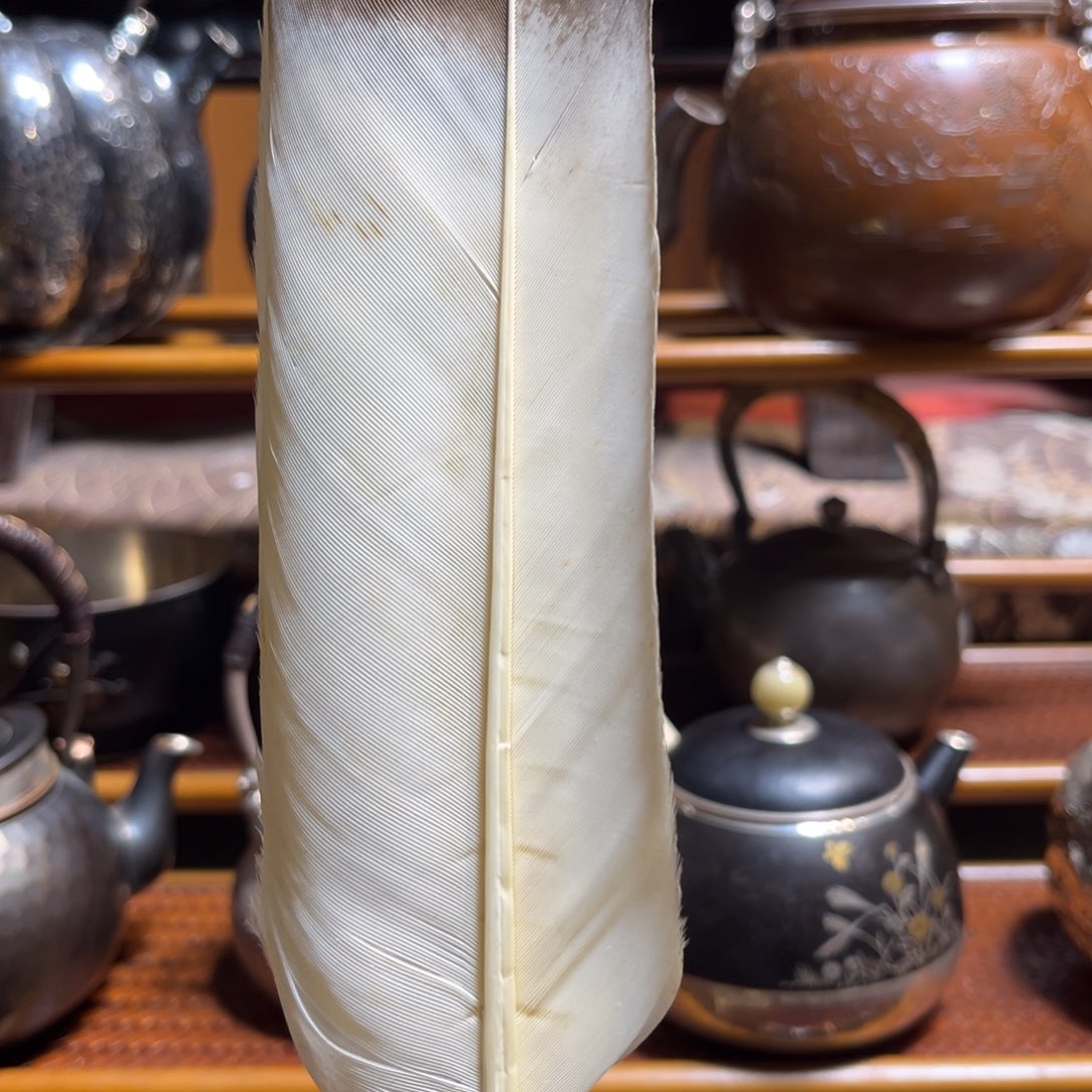 中古回流福利多多玉*烟