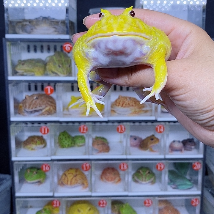 特价秒杀现货特价残