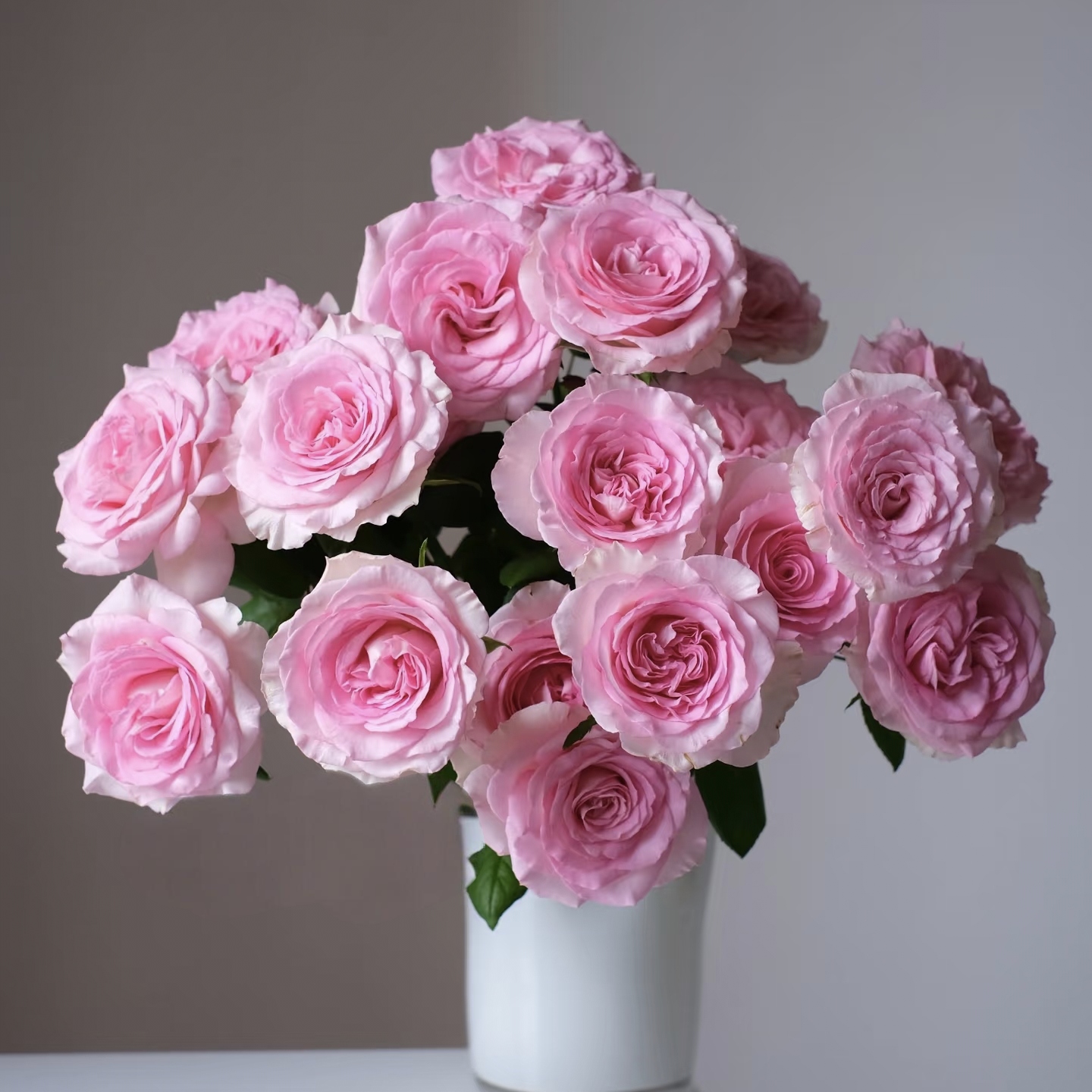 10枝洛神单头玫瑰 (两单发顺丰或京东快递)