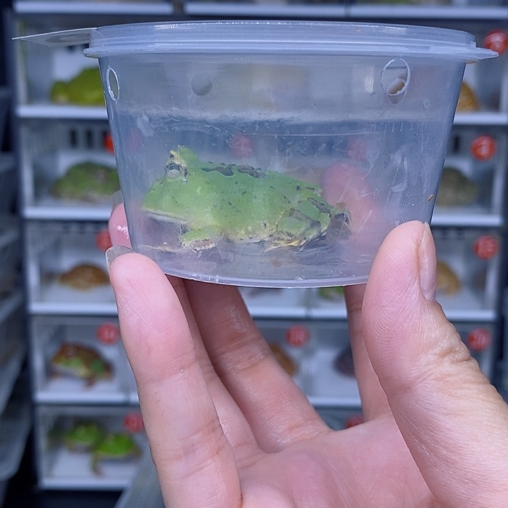 特价秒杀现货特价残