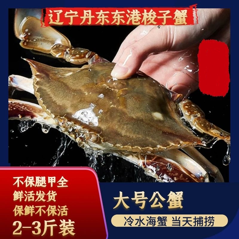 【保鲜不保活】大公蟹特大公蟹 3两以上/只 2斤/3斤装 不保腿甲全