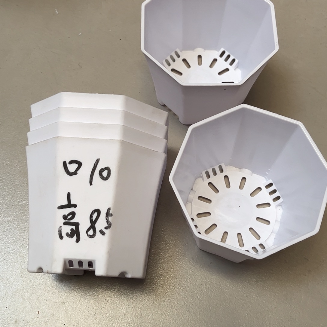 加厚八角口10高8.5白盆10个无托