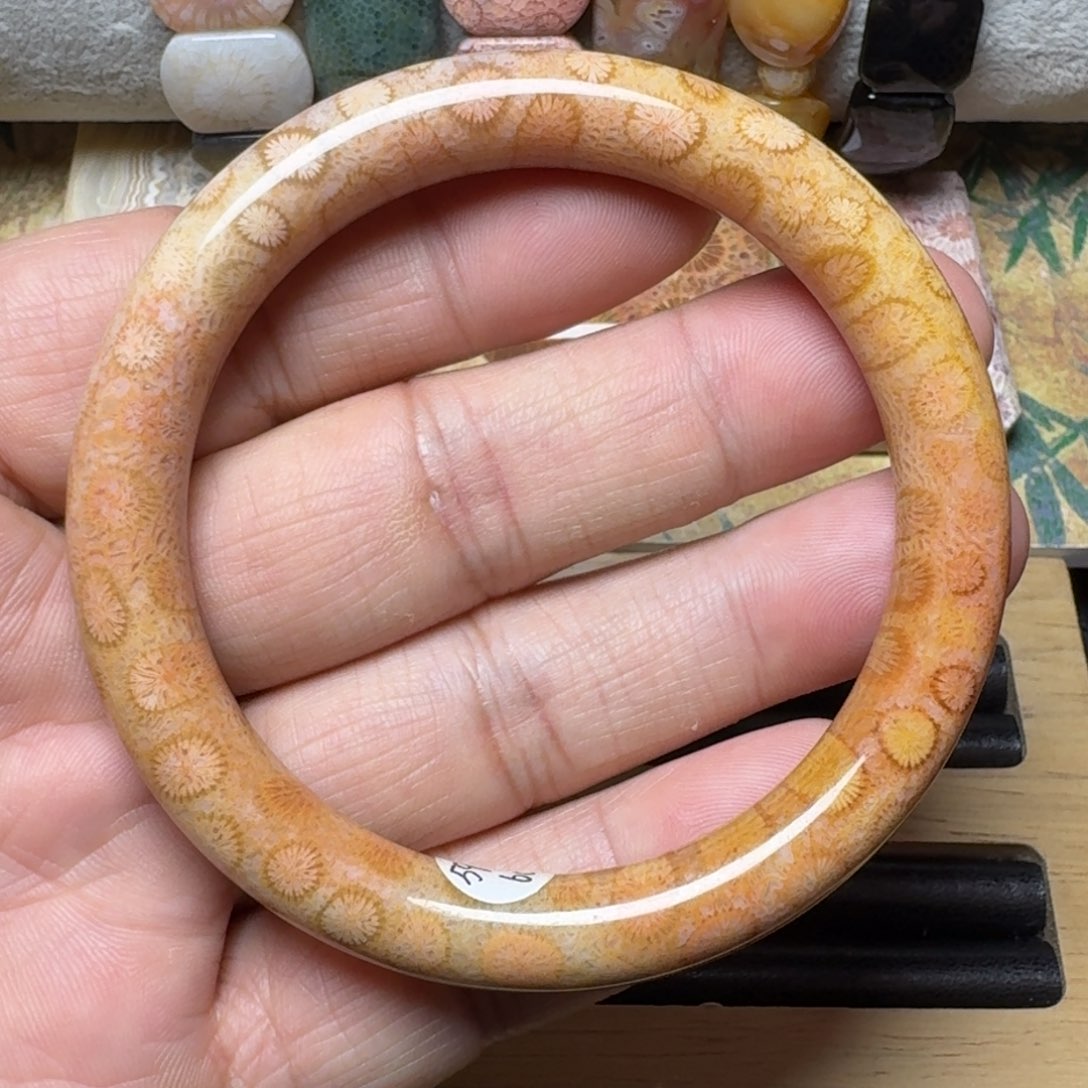 硅化玉纯天然有机玉石保真色未镶嵌59.5圈口