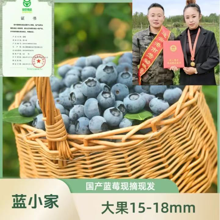 蓝小家【15mm+】大果露天头茬蓝莓新鲜采摘净重90克/盒江苏省