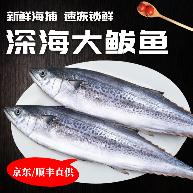 108大鱼 燕鲅鱼新鲜冰鲜蓝点马鲛鱼鲜活燕尾鱼特大号燕鱼野生海捕